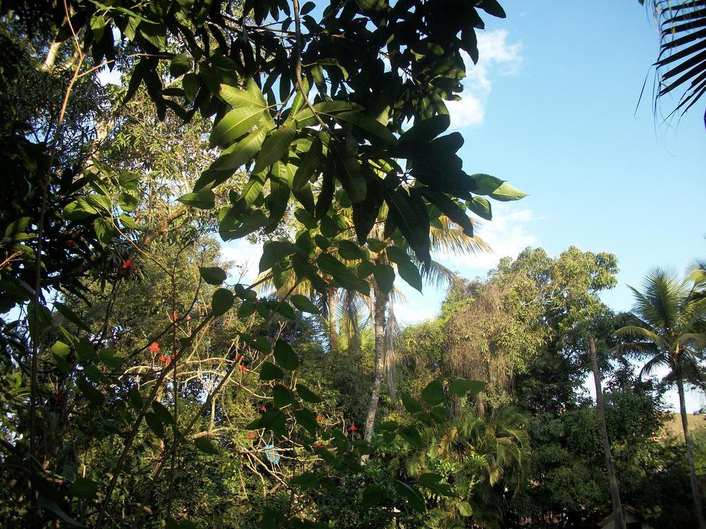 Pousada Ype Amarelo Itatiaia  Oda fotoğraf